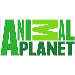 Animal Planet
