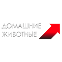 Домашние животные